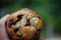 Chocolate Chip Muffins