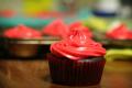 Chocolate Frosted Cupcakes