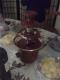 How To Make Chocolate Fruit Fondue
