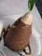 How To Make Chocolate Pears