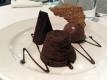 Chocolate Sorbet