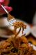 How To Make Chow Sauce