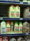 How To Make Christmas Eggnog