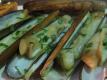 Clams And Shells