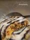 How To Make Baked Coconut Oatmeal Cookies