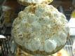 How To Make Coconut Pie