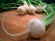 Turnips Cooked In Stock