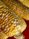How To Make Corn In The Husks