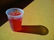 Quick Cranberry Ice