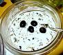 How To Make Basic Cream Cheese Delight