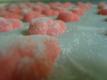 How To Make Cream Cheese Mints
