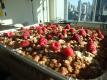 Quick Coffee Cake With Crumb Topping