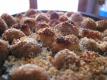 How To Make Crunchy Squash Casserole