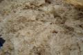 How To Make Crusty White Bread