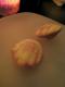 How To Make Date Filled Wontons
