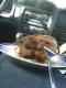 How To Make Diamond Head Pork With Pineapple