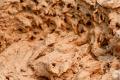 How To Make Dough Cookies