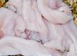 Dover sole paupiette vin blan