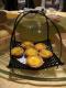 How To Make Eggs Baked In Shells
