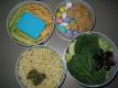 How To Make Egg Salad Bunny