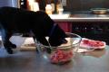 How To Make Eggs Gelatin