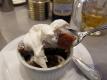 How To Make Golden English Pudding