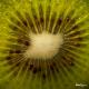How To Make Exotic Fruit Tranche