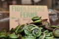 How To Make Fiddleheads