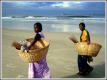 Fish Goa Style