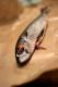 How To Make Rice Stuffed Fish Rolls With Lemon Sauce