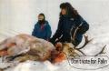 How To Make Newfoundland Fisherman's Stew