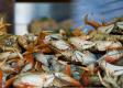 How To Make Fisherman's  Crab