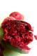 How To Make Flamed Fruit