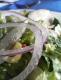 Floridian Salad