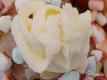 How To Make Fluffy Icing