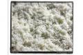 How To Make Old-fashioned Fluffy White Rice