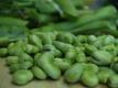 How To Make Fresh Pack Dilly Beans