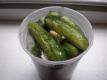 Fresh Dill Pickles