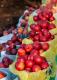 How To Make Oven Baked Fresh Nectarine
