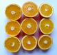Fresh Orange Squares