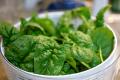 How To Make Fresh Spinach And Rice Salad Bowl