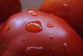 How To Make Fresh Tomato