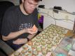 How To Make Frosted Orange Cookies