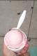 Frozen Melba Yogurt
