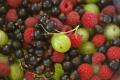 Fruit Compote