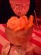 How To Make Fruit Ice Cream