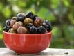 How To Make Fruit In The Shell
