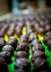 Fudge Balls