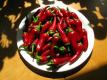 Garden Harvest Chili