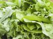 How To Make Salad Of Mixed Garden Stuff